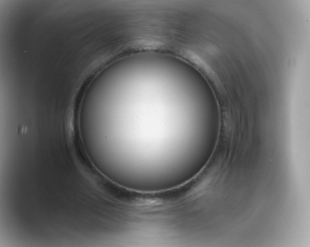 X0000089750582200707051817