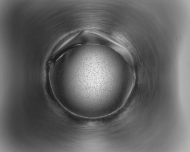 X0000089750584200707051816