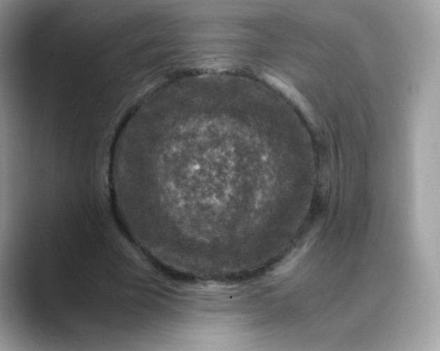 X0000089750585200707051816