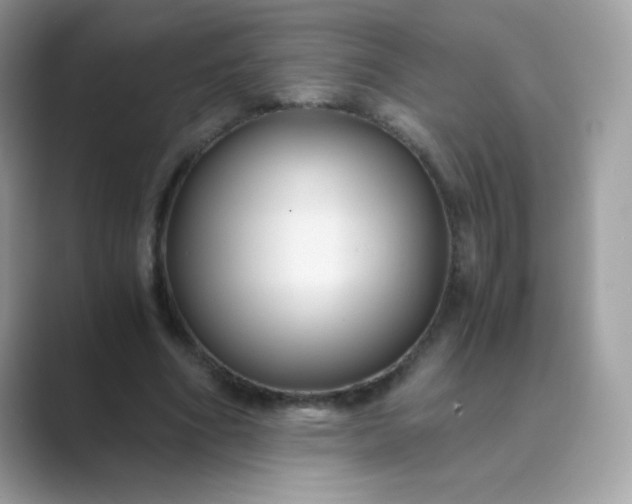 X0000089750586200707051816