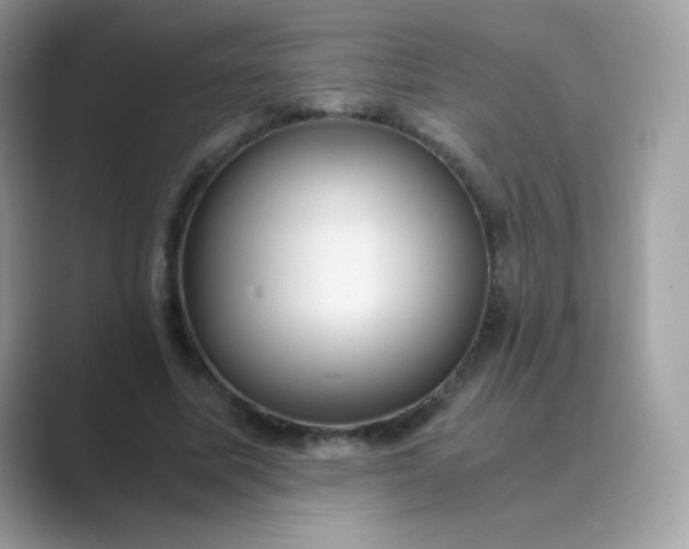 X0000089750587200707051816