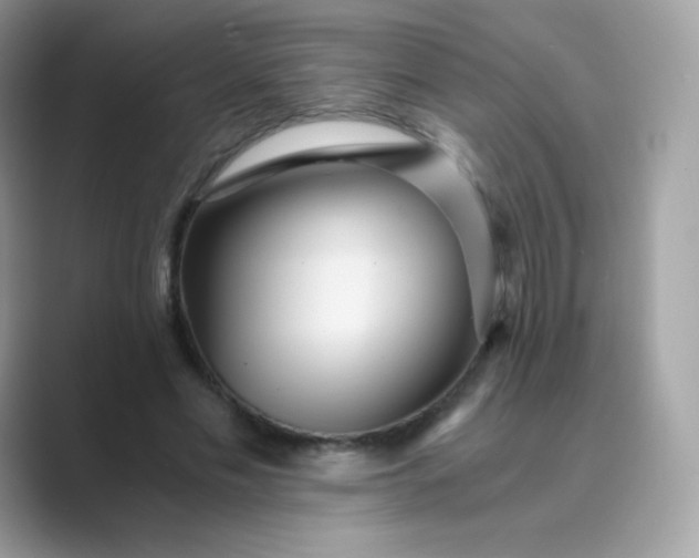 X0000089750589200707051816