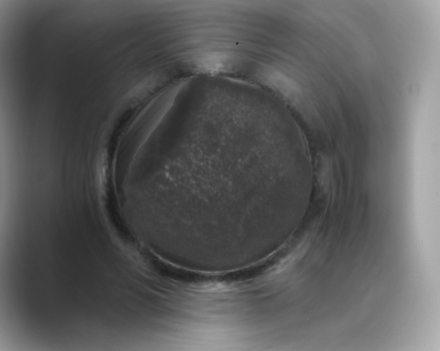 X0000089750590200707051816