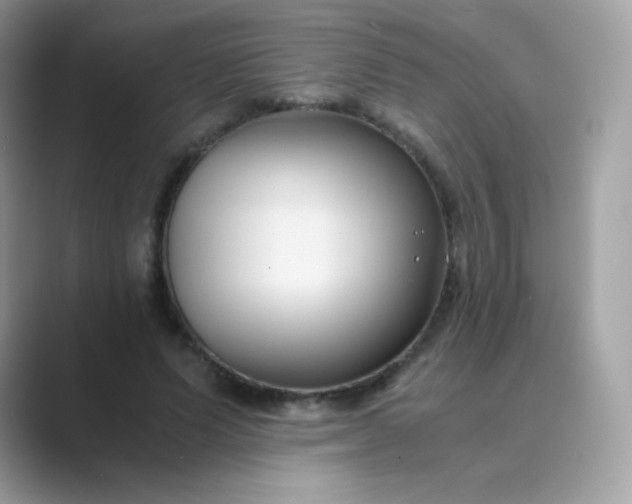 X0000089750591200707051816