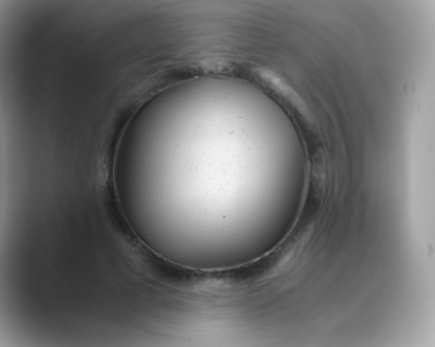 X0000089750593200707051816