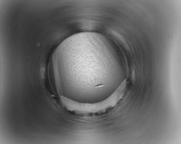 X0000089750596200707051816