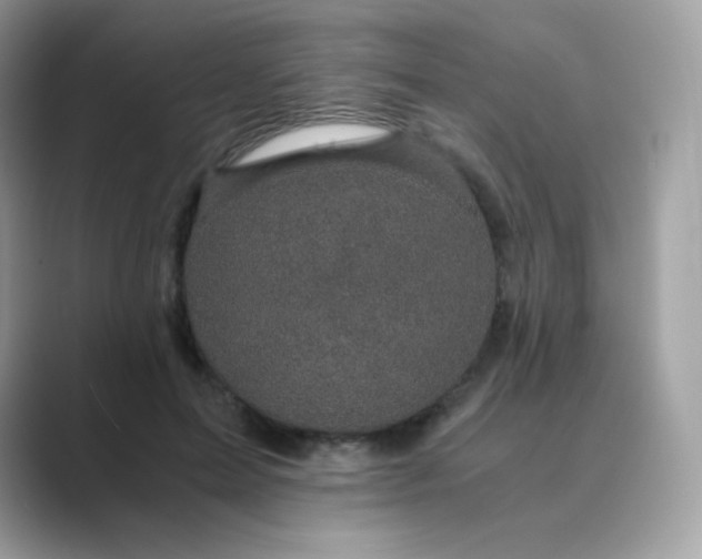 X0000089750599200707051816