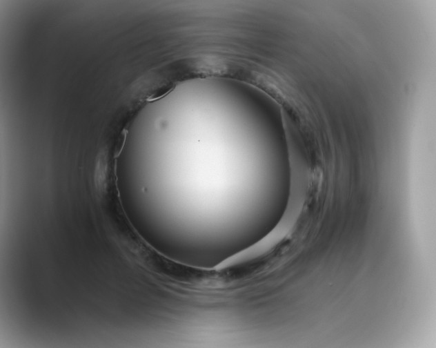 X0000089750600200707051816