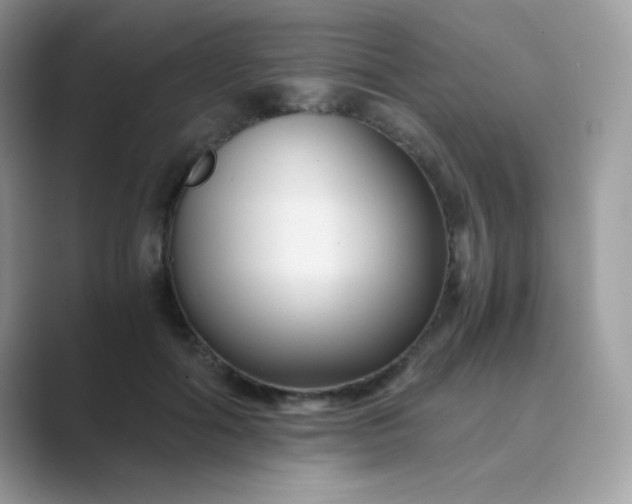 X0000089750602200707051816