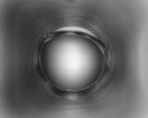 X0000089750604200707051816