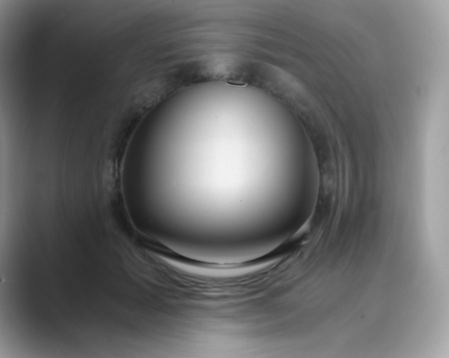 X0000089750605200707051816