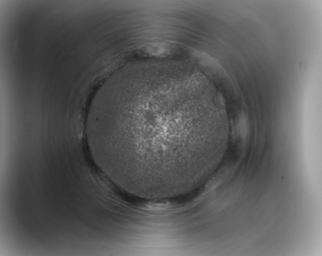 X0000089750606200707051816