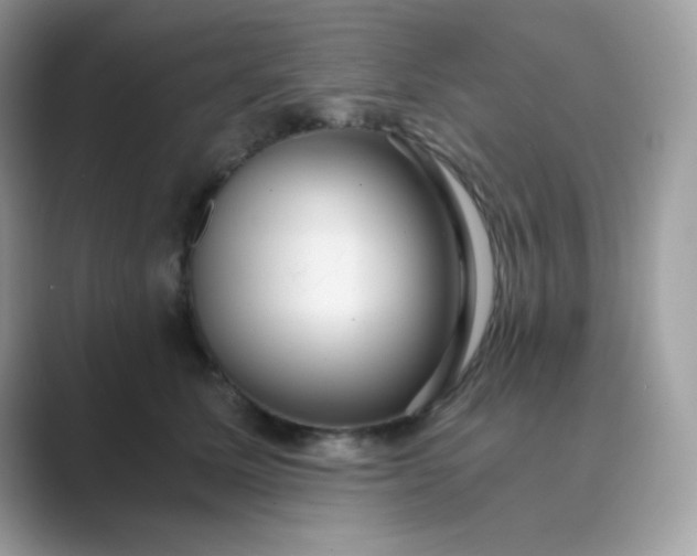 X0000089750611200707051816