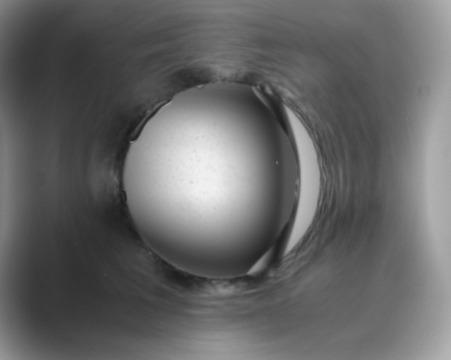 X0000089750613200707051816