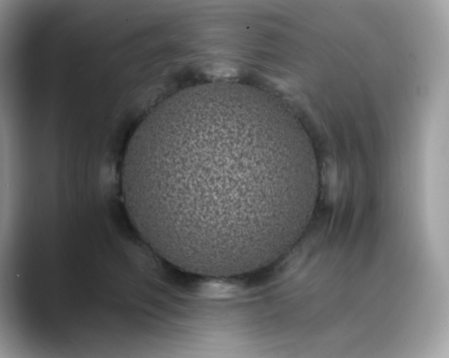 X0000089750614200707051816