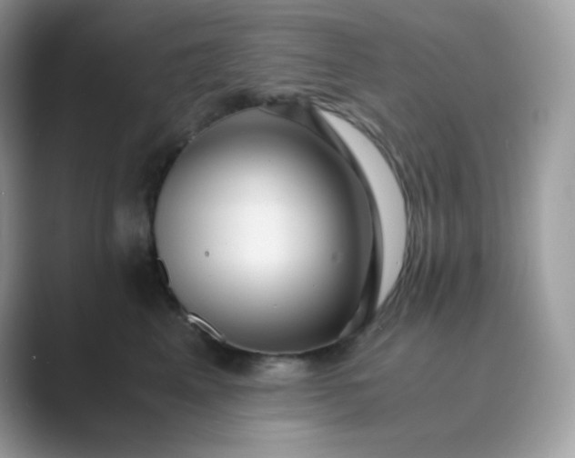 X0000089750617200707051816