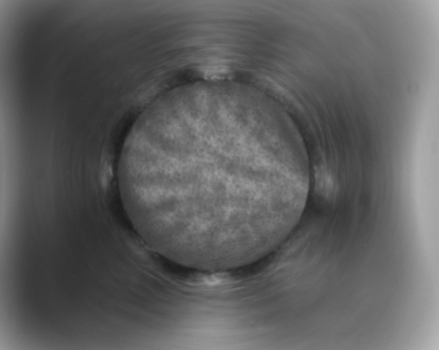 X0000089750618200707051816