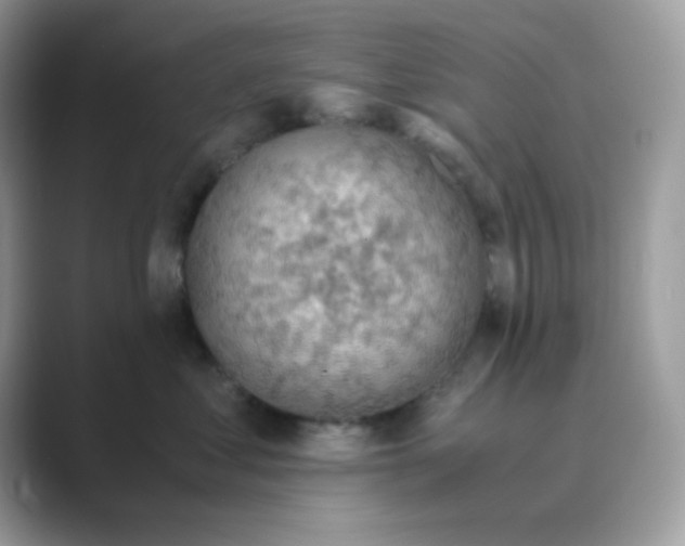 X0000089750621200707051816