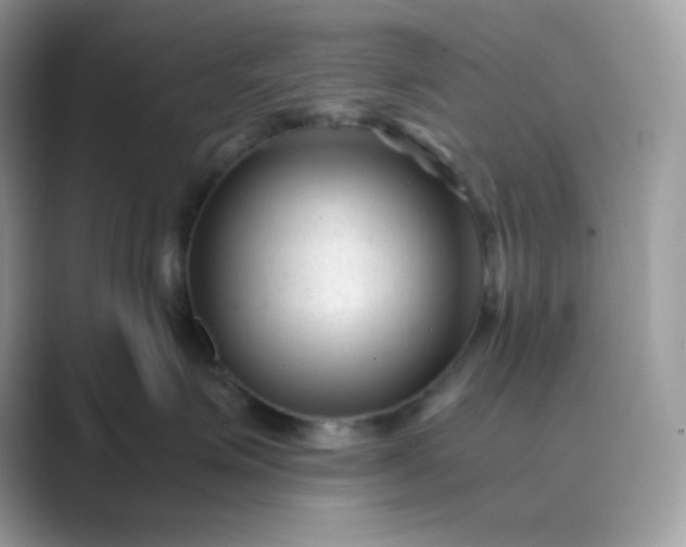 X0000089750623200707051816