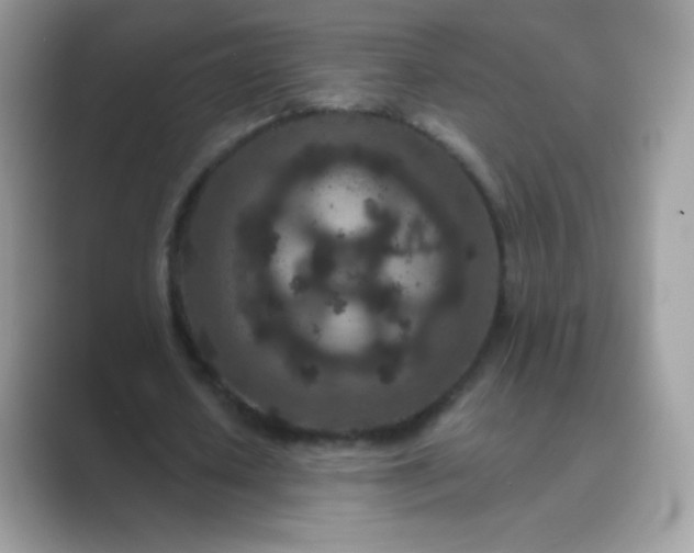 X0000089750626200707051815