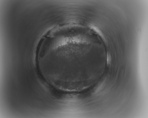 X0000089750627200707051815