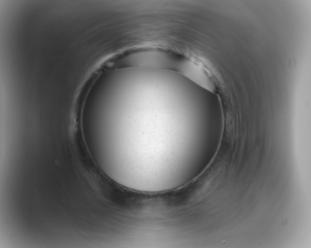 X0000089750628200707051815