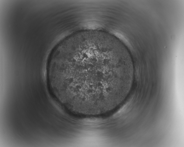 X0000089750630200707051816