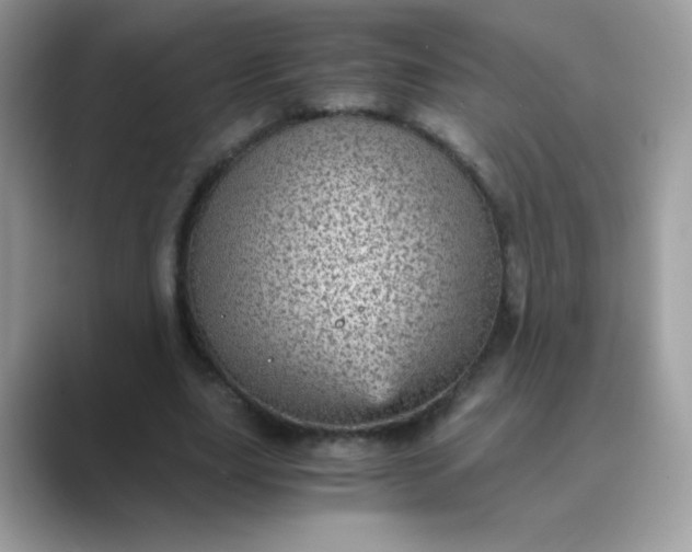 X0000089750631200707051816