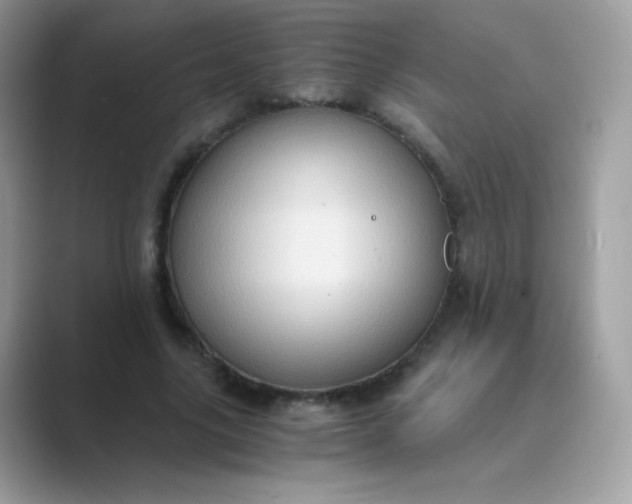 X0000089750635200707051816