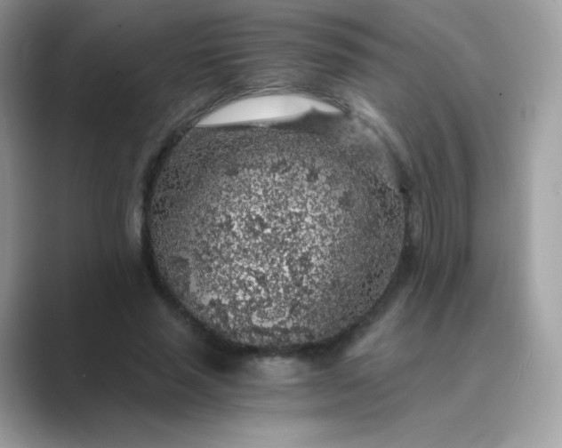 X0000089750637200707051816