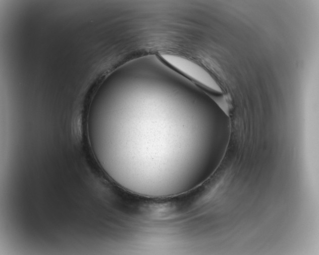 X0000089750638200707051816