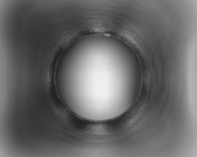 X0000089750639200707051816