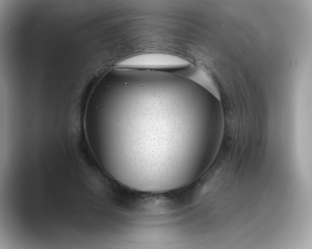 X0000089750642200707051816