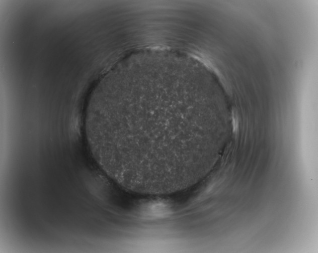 X0000089750643200707051816