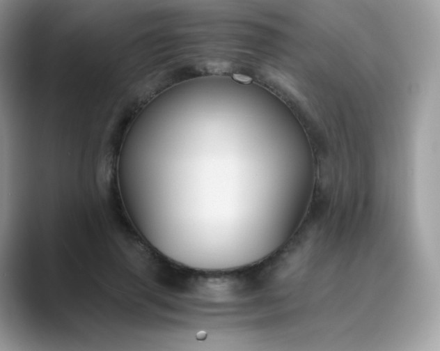 X0000089750645200707051816