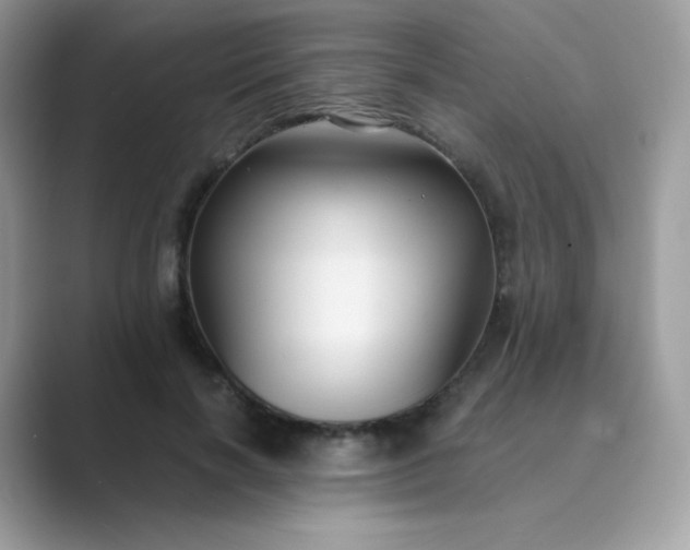 X0000089750646200707051816