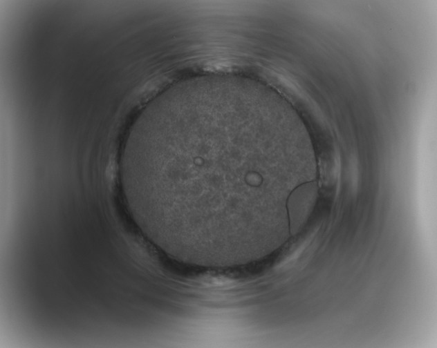 X0000089750648200707051816