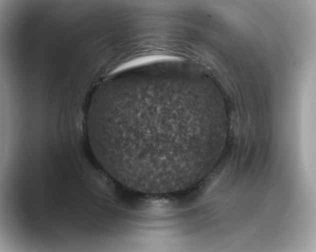 X0000089750650200707051816