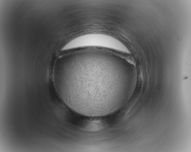 X0000089750651200707051816