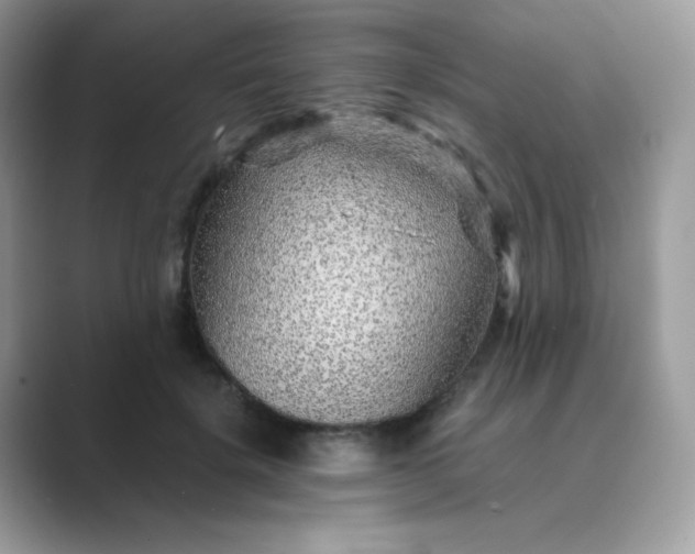 X0000089750652200707051816