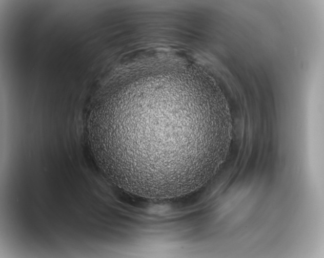 X0000089750653200707051816