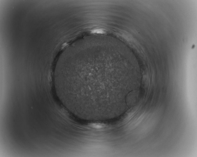 X0000089750654200707051816