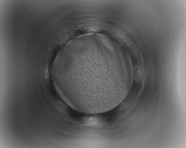 X0000089750655200707051816