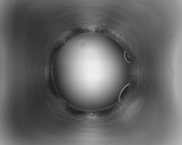 X0000089750656200707051816