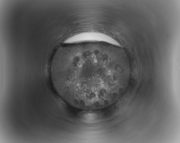 X0000089750658200707051816