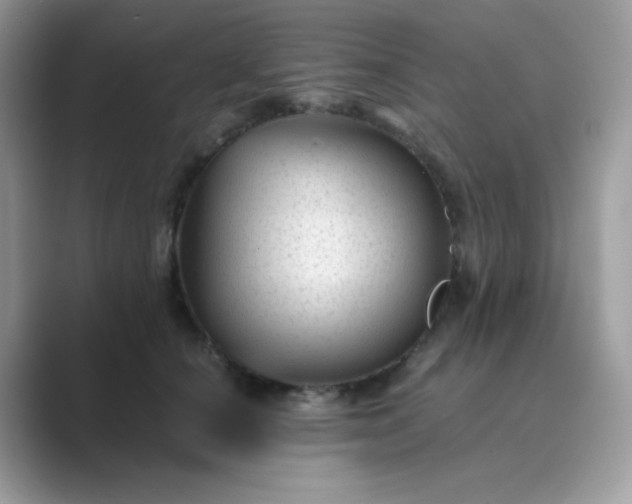 X0000089750660200707051816