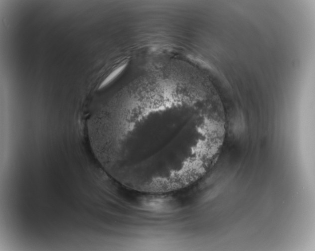 X0000089750661200707051816