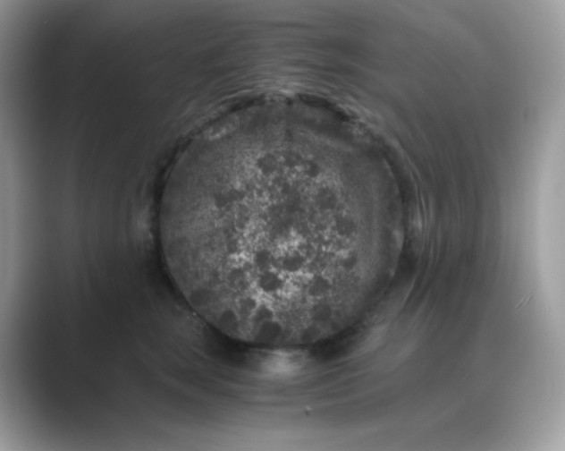 X0000089750663200707051816