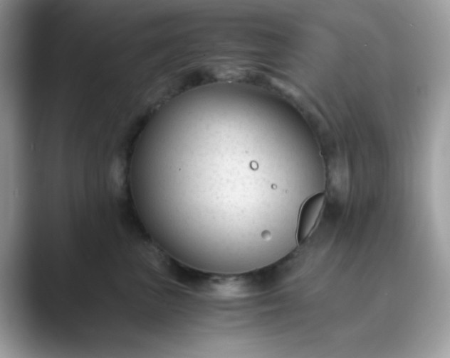 X0000089750667200707051816