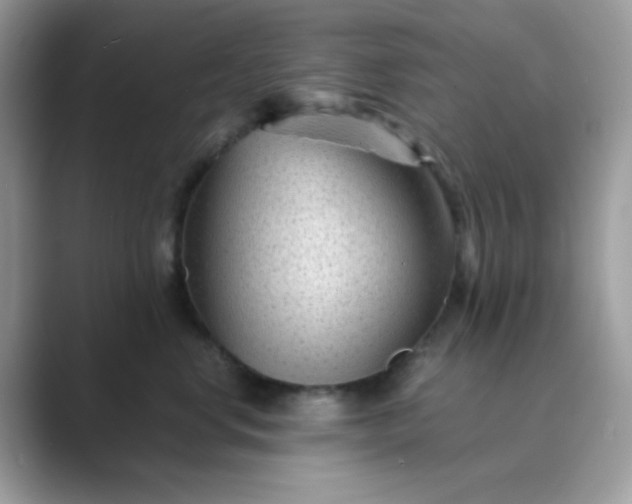 X0000089750668200707051816